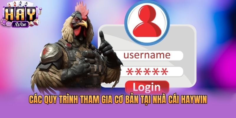 Các quy trình tham gia cơ bản tại nhà cái Haywin