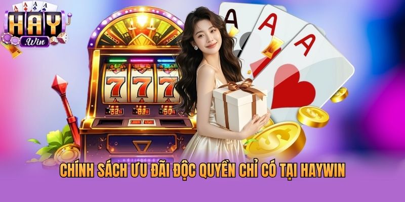 Chính sách ưu đãi độc quyền chỉ có tại Haywin