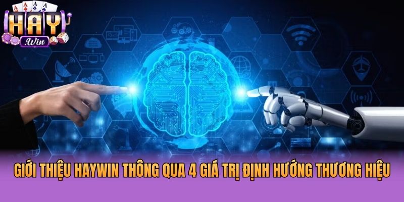 Giới thiệu Haywin thông qua 4 giá trị định hướng thương hiệu