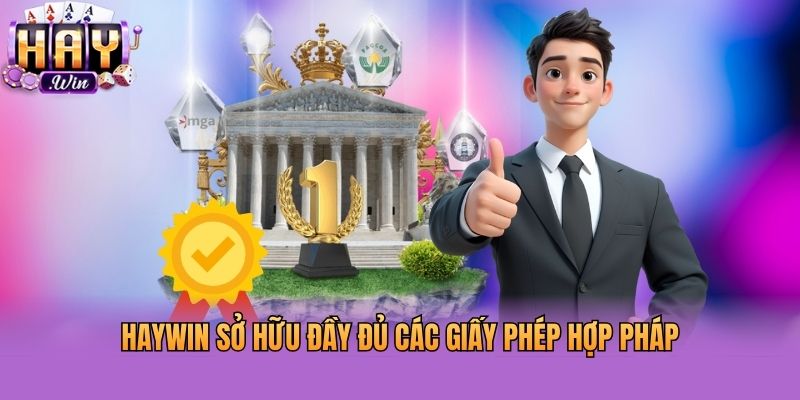 Haywin sở hữu đầy đủ các giấy phép hợp pháp