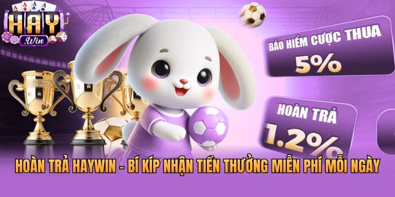 Hoàn Trả Haywin - Bí Kíp Nhận Tiền Thưởng Miễn Phí Mỗi Ngày