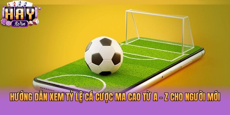 Hướng Dẫn Xem Tỷ Lệ Cá Cược Ma Cao Từ A - Z Cho Người Mới