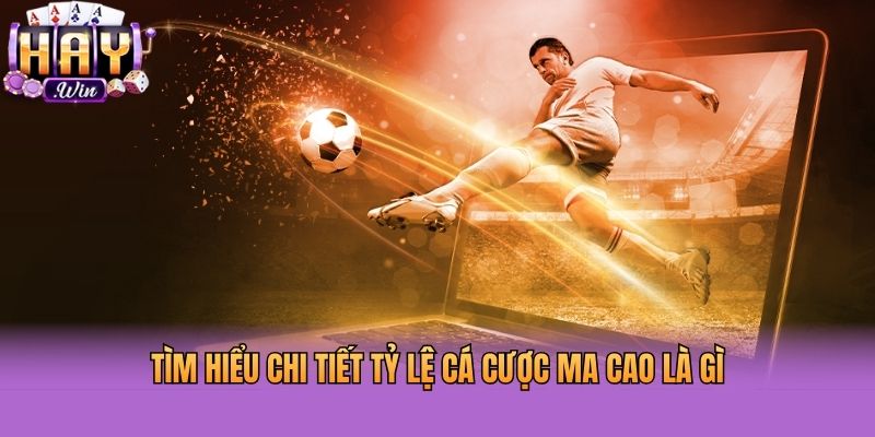 Tìm hiểu chi tiết tỷ lệ cá cược Ma Cao là gì
