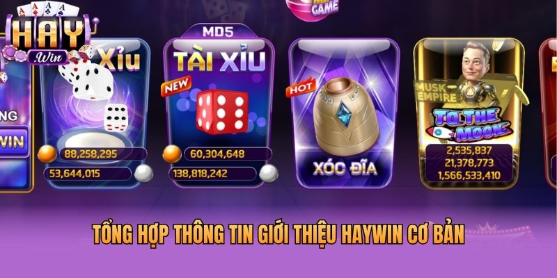 Tổng hợp thông tin giới thiệu Haywin cơ bản
